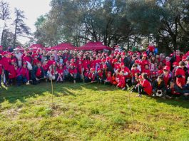 Les collaborateurs de Djezzy engagés pour la protection de l’environnement